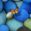 CHITRA