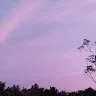 Sushruti