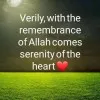 Hala Ahmed Fawzy