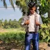 Ransam Dabre