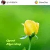 M RAMACHANDRA REDDY