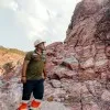 Vignesh Narasimhan