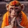 Hariom Parihar