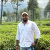 Hari Kiran