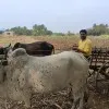 Ajeet Kumar Singh