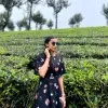 Praveena Kvp