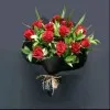 Zara Adham