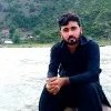 waqar shahzad