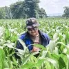 Firman Budi Wicaksono