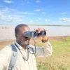 oswad minja