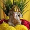 Madhushree