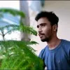 Harshik Sachdeva