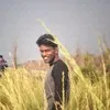 Harish