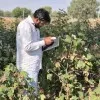 Himanshu Dhaked