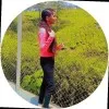 rishalini risha