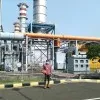 Ibni syai