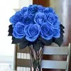 khansa Al Zedjali