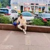 Md Tashmir