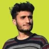 Hamza Munawar