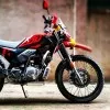 Mayur Raut