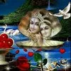 satybir jangra