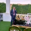 Mahmoud Yousef
