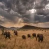 Yeshe Mengesha