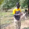 Fred Kankam Appiah