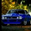 Jaseem MJ
