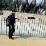 narender kumar