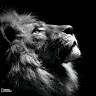 Deepak