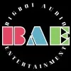 BigBoi Audio Entertainment