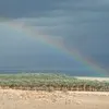 dror sinai