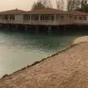 Eman Salama