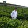 kalp patel