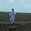 ISMAIL HASSAN SAAD