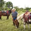 David Gonzalez