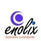 enolix business consultants