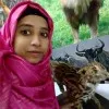 Mahmuda Begum