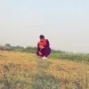 Hardik Manwani