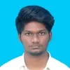 Sathgurunathan palanisamy