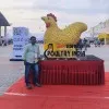 D Koteswara Rao