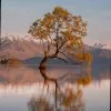 Ashraf Wani