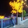 Kuldeep Thakur