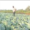 Robbinson Wandera