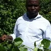 Ephraim Osanto