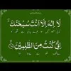 The Fauzia Arshad Bhatti