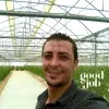 Mahmoud Elshuwikh