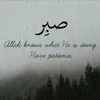 Tahir Budoo