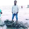 mamidi venkatesh